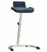 Picture of Wet room Standing support